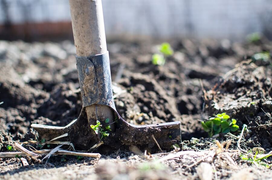 Handige tips om droogte in de tuin en bij tuinplanten tegen te gaan – Tuinieren met Buitenleven