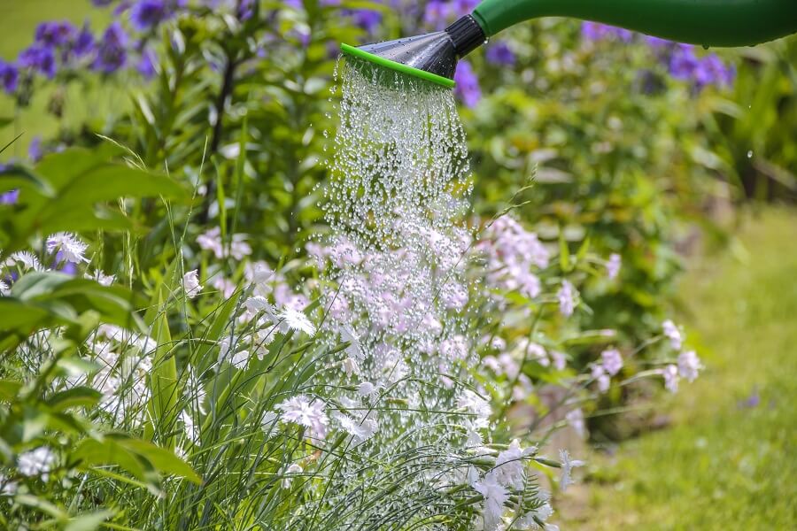 Handige tips om droogte in de tuin en bij tuinplanten tegen te gaan – Tuinieren met Buitenleven