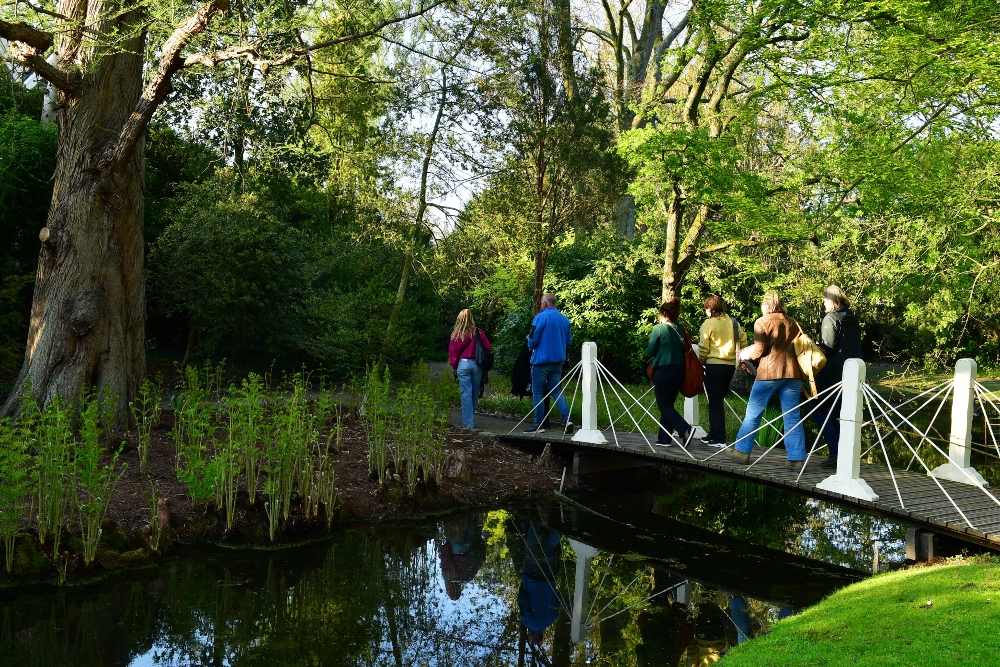 Wandelen over de houten bruggetjes van Trompenburg