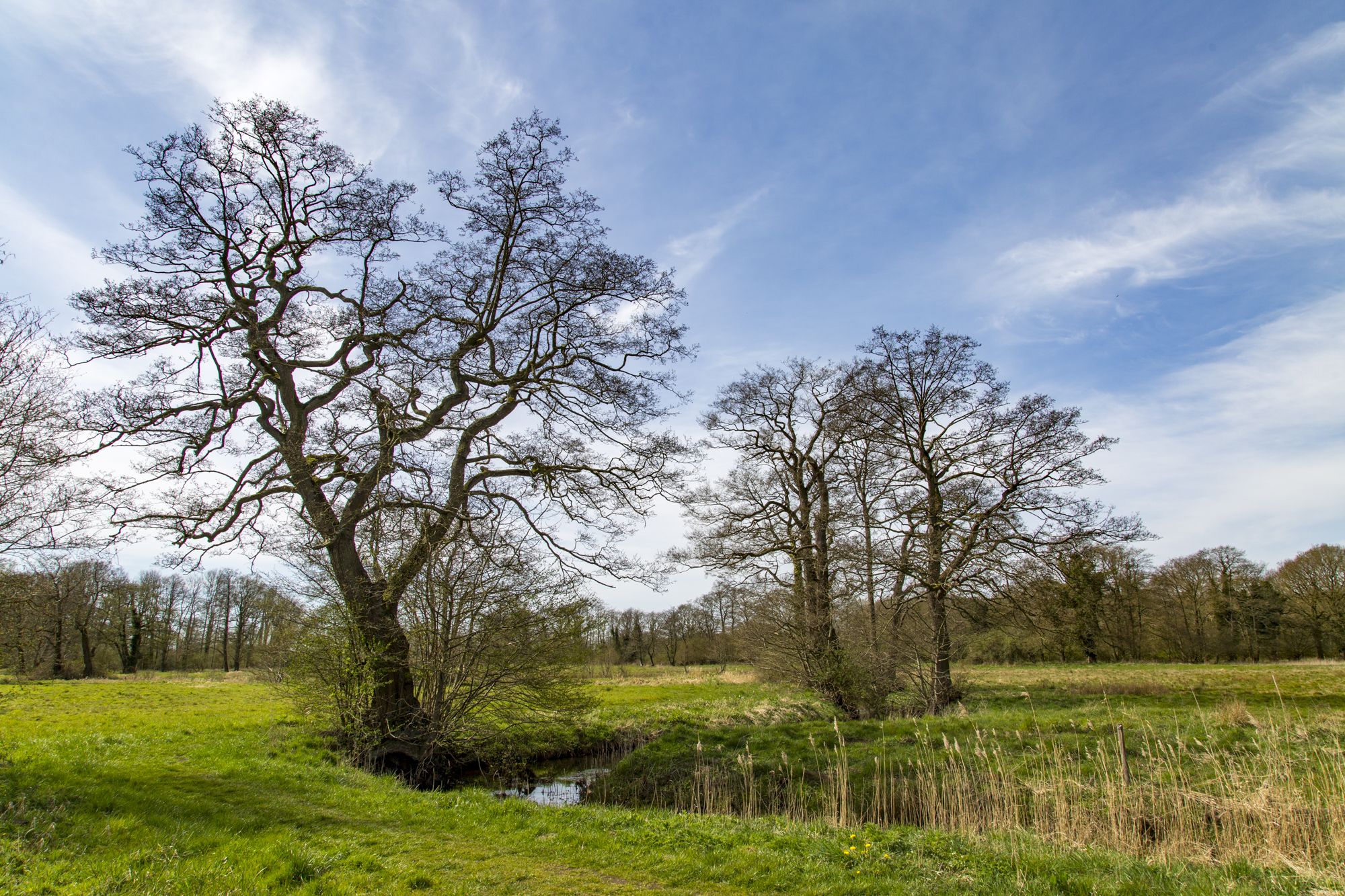 De natuur in buitenleven