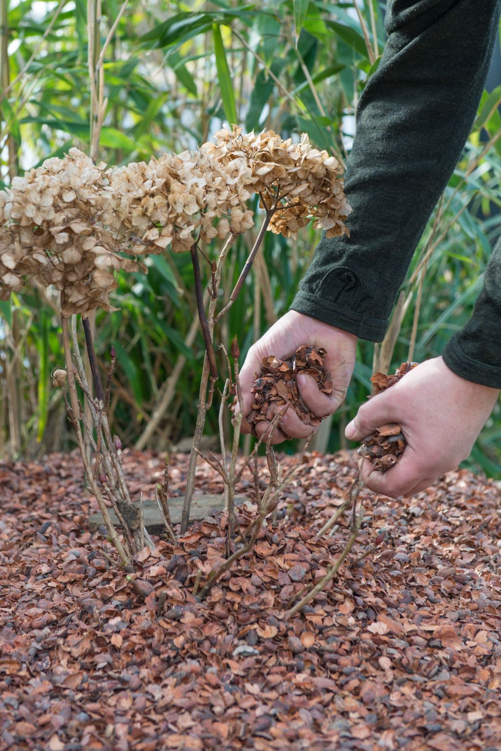 Mulchlaag van eigen tuinafval