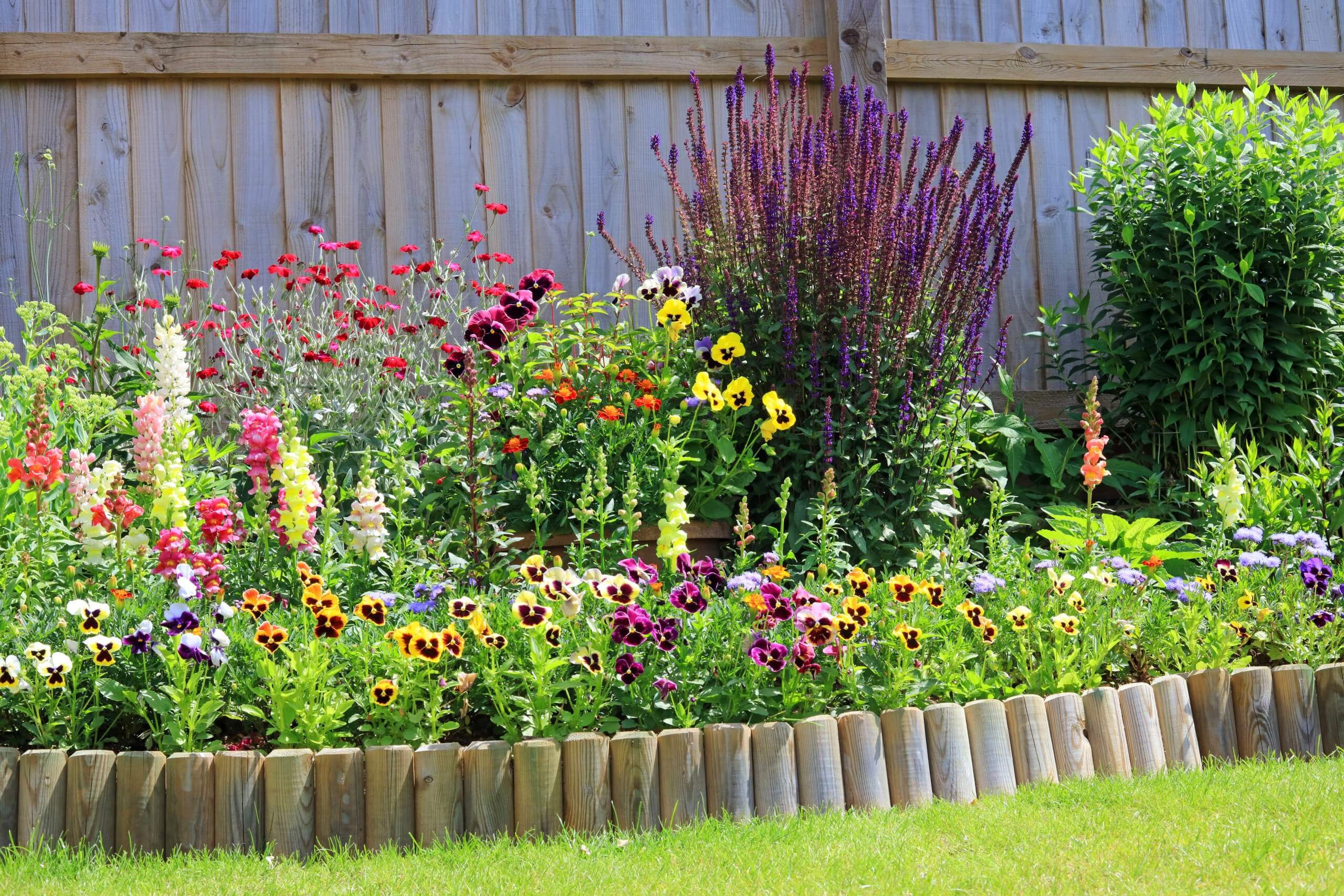 Vaste planten border