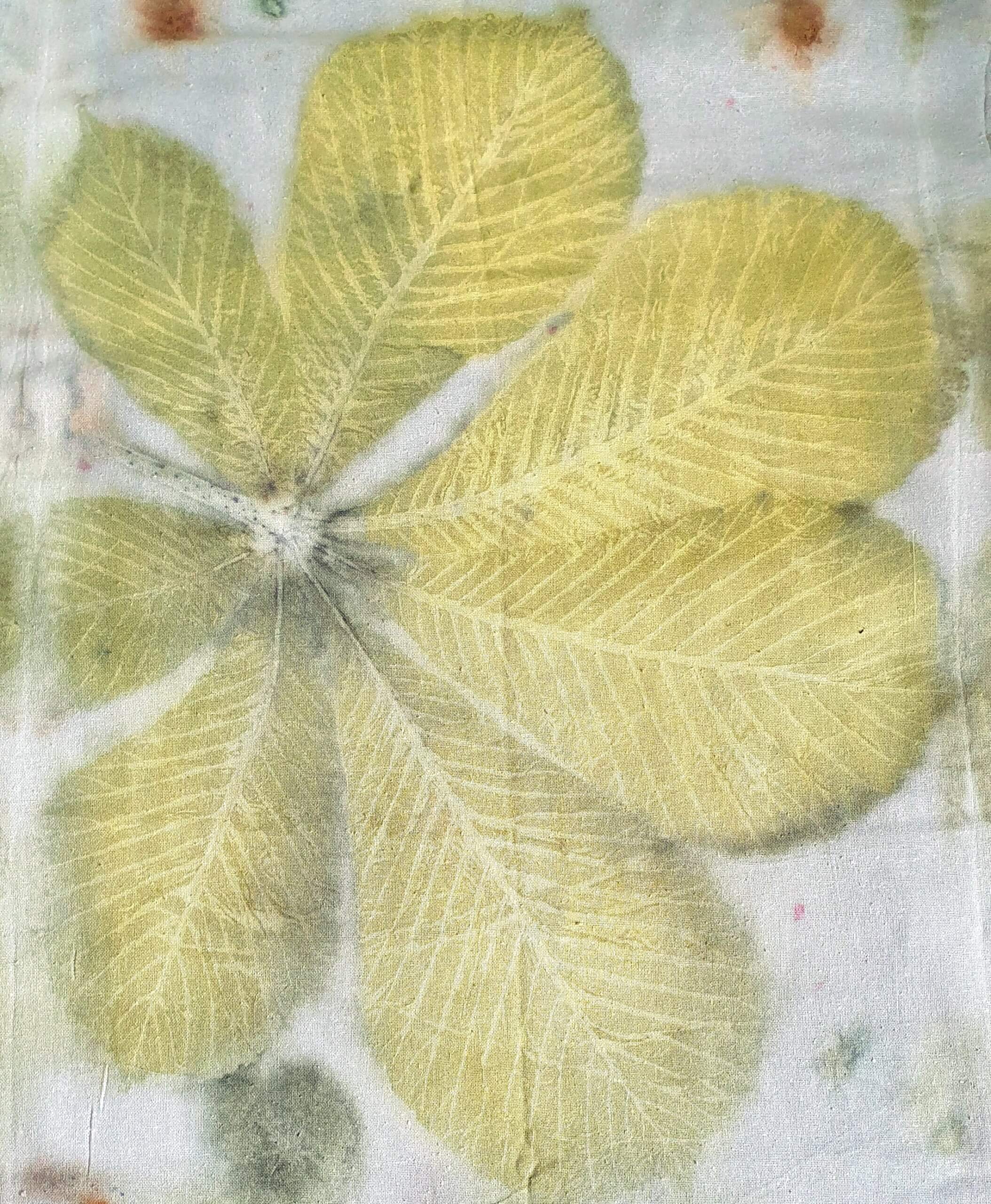 Ecoprint van kastanjeblad op zijde.