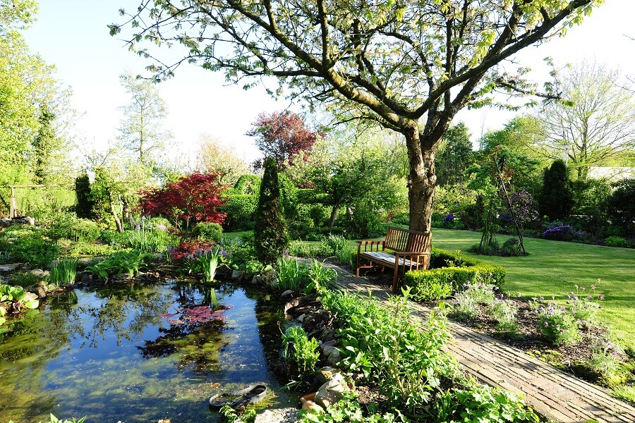 De tuin zonder trends in Hippolytushoef kent veel verschillende planten – Tuinieren met Buitenleven magazine