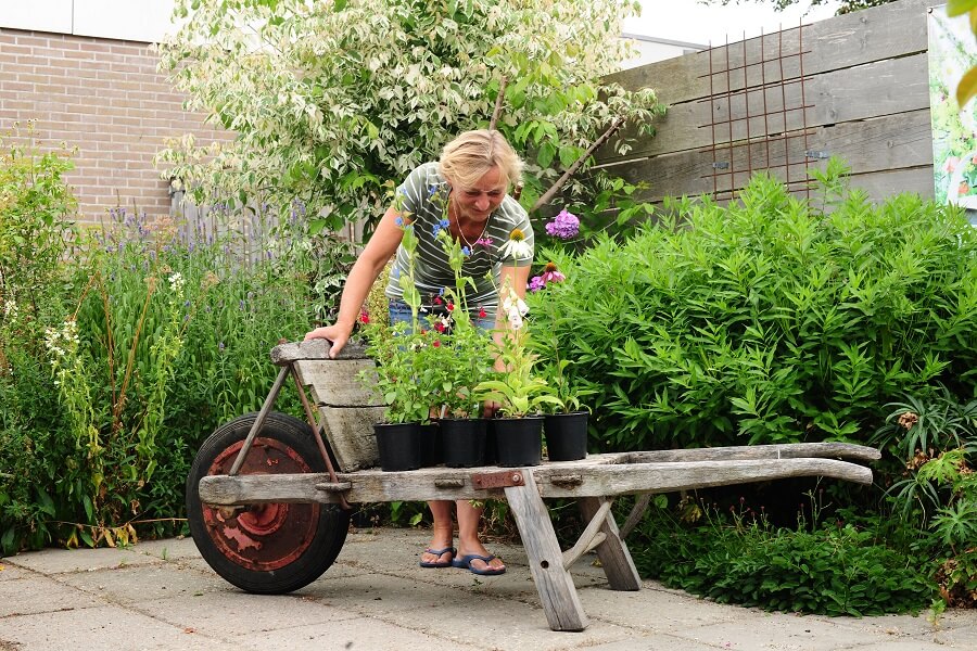 Duurzaam tuinieren is belangrijk voor Magriet. Ze kweekt haar eigen planten en bloemen – Tuininspiratie met Buitenleven