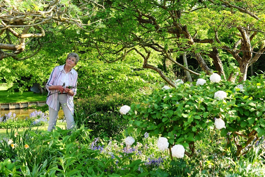 Ellens tuin vol blauwe boshyacinten doet sprookjesachtig aan – Tuinieren met Buitenleven