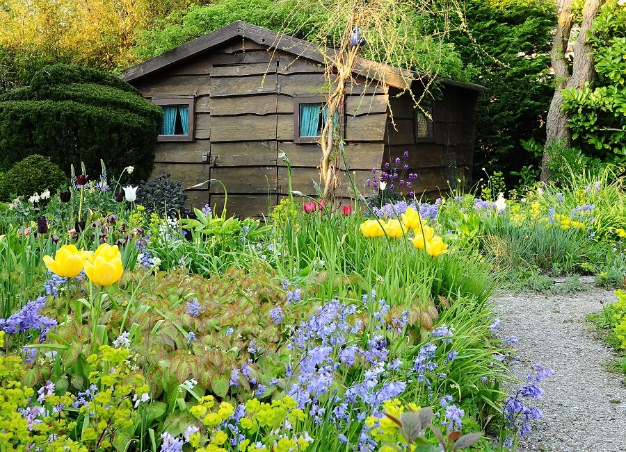 Ellens tuin vol blauwe boshyacinten doet sprookjesachtig aan – Tuinieren met Buitenleven