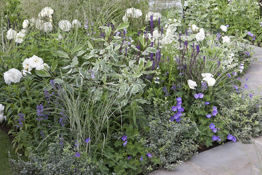 Het aanplanten van je eigen border – Tuinieren met Buitenleven