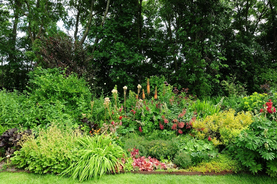 Geerte houdt van geraniums in haar tuin vol borders met een Engelse stijl – Tuinieren met Buitenleven