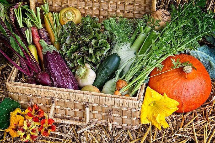 Vergeten groenten kweken in eigen moestuin – Tuinieren met Buitenleven