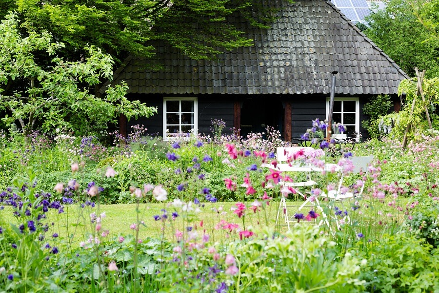 Gerthe heeft een schilderachtige Monet-tuin vol akelei, fluitenkruid en andere bloemen – Tuinieren met Buitenleven