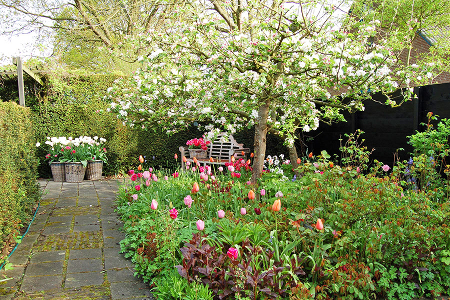 Zes mooie bezoektuinen tijdens de bloembollenroute in Zeeland – Eropuit met Buitenleven
