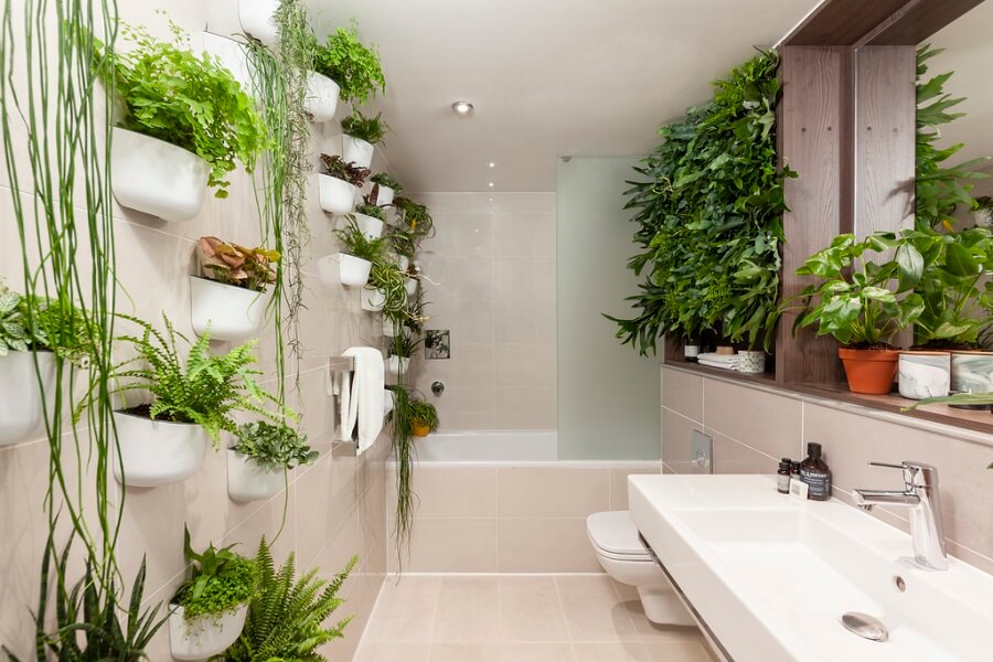 verzending Uitvoeren koel 11 planten voor de badkamer – Buitenleven