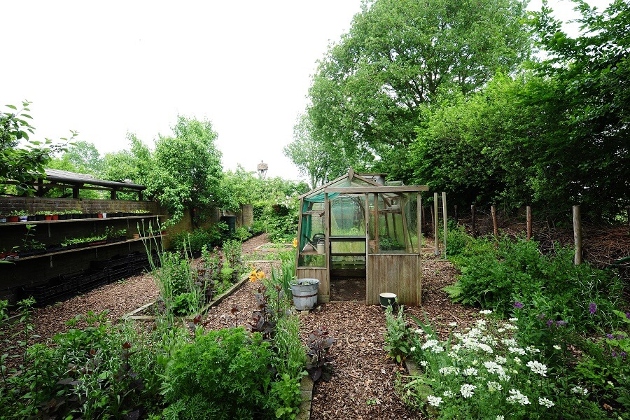De zaadjes in de tuin van Karin Cruijs zorgen voor prachtige eenjarigen - Tuinieren met Buitenleven
