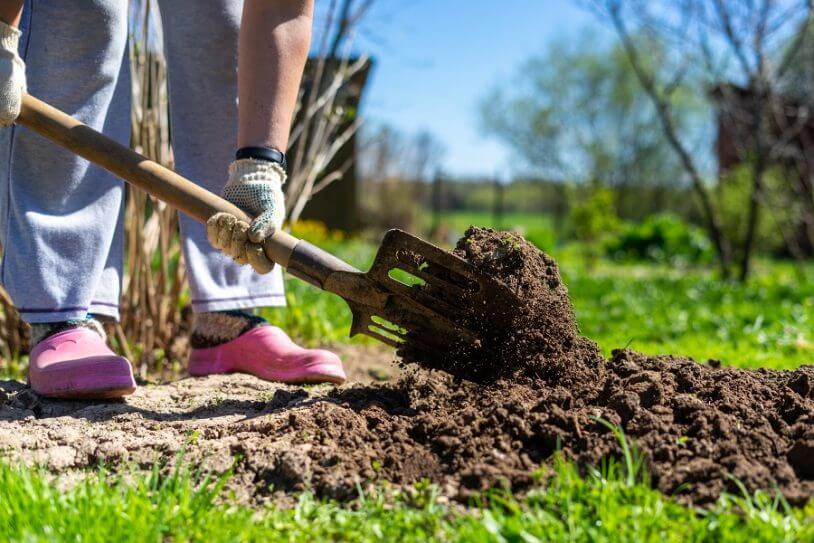 Zo bewerk je de grondsoort in je tuin – Buitenleven
