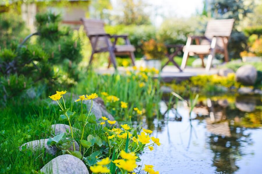 Toegeven japon Coöperatie Waterplanten voor je zelfgemaakte waterplaats in de tuin – Buitenleven