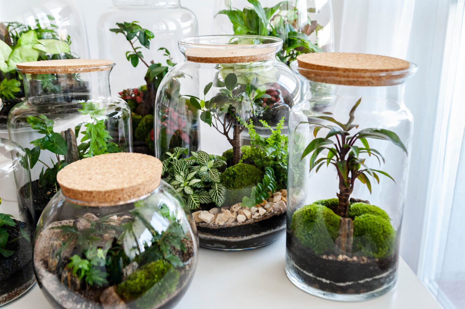 DIY je eigen planten terrarium maken Buitenleven