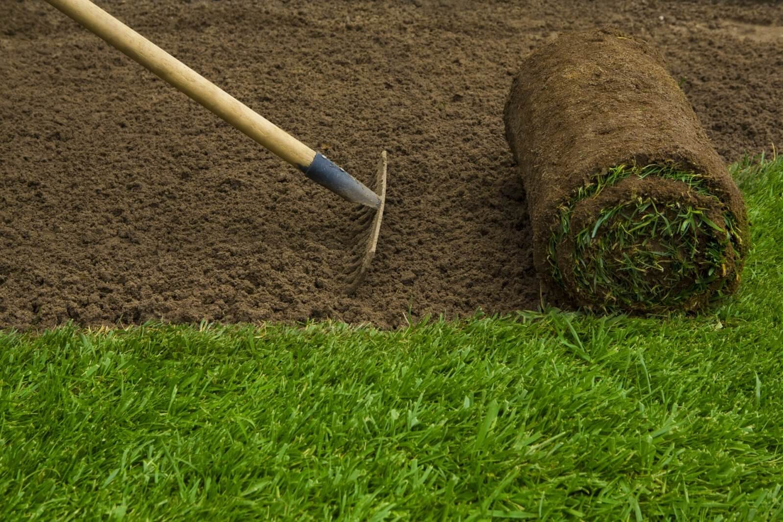 Zelf graszoden leggen in de tuin Stappenplan Buitenleven