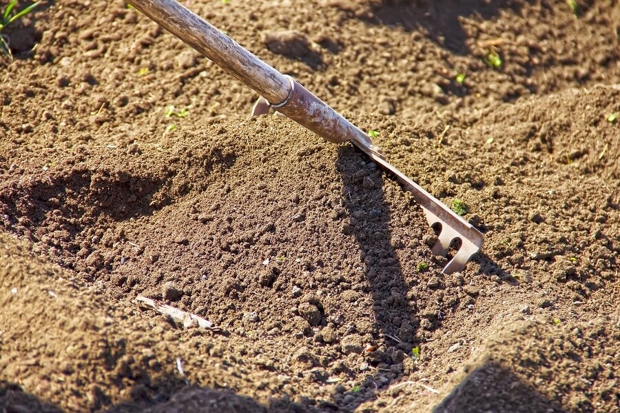 Je eigen gazon zaaien doe je met graszaad, in het voorjaar vanaf maart – Tuinieren met Buitenleven