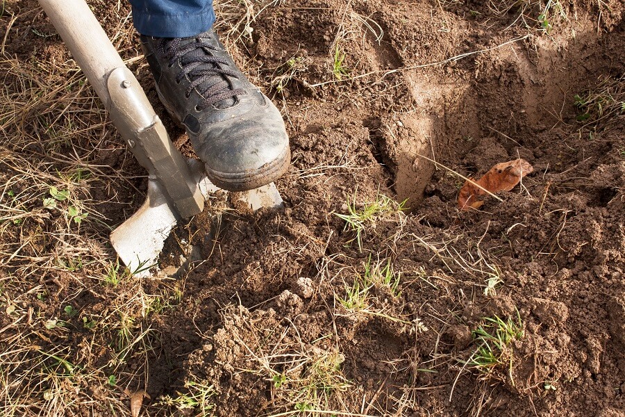 Je eigen gazon zaaien doe je met graszaad, in het voorjaar vanaf maart – Tuinieren met Buitenleven