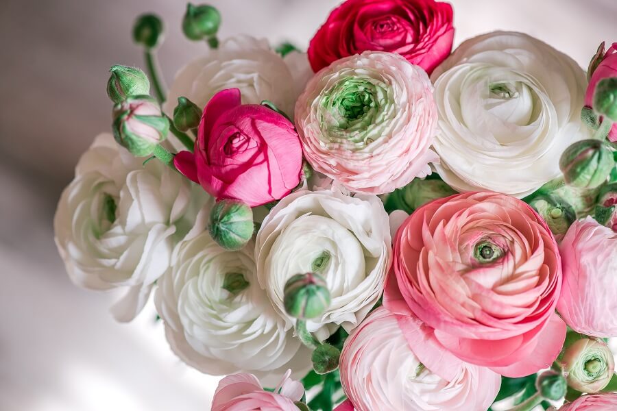 Met kennis van floriografie geef je de juiste bloemen met Valentijnsdag