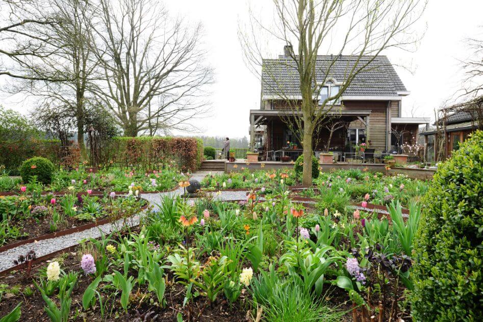 De tuin van Nitha Annink heeft prachtige borders met veel bollen – Buitenleven magazine