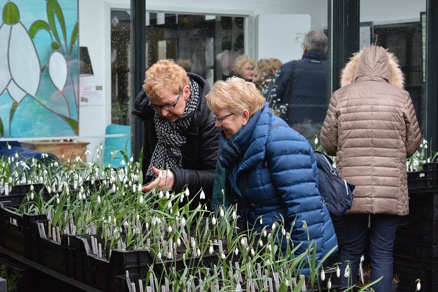 Bloembollen en sneeuwklokjes kijken tijdens Oost-Groninger bloembollenroute – eropuit met Buitenleven