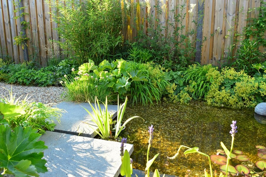 Biotoop aan huis: ga voor een levendige en natuurlijk tuin met dit tuinontwerp uit Buitenleven.