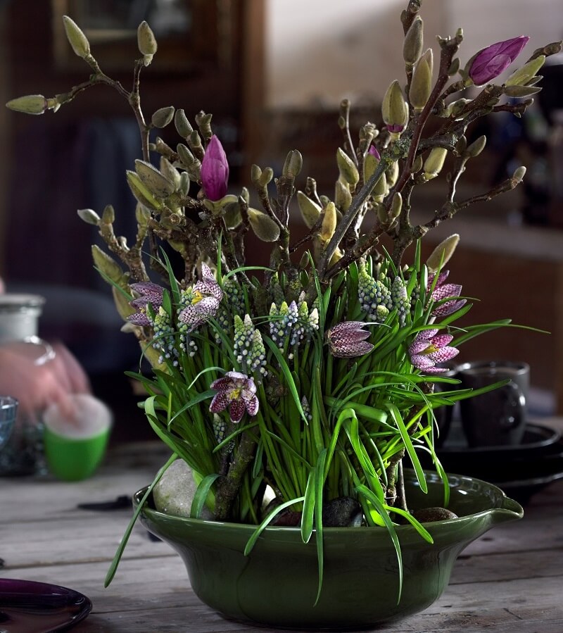Tips voor het stylen en verzorgen van bolbloemen zoals narcis, hyacint en tulp – Tuinieren met Buitenleven 