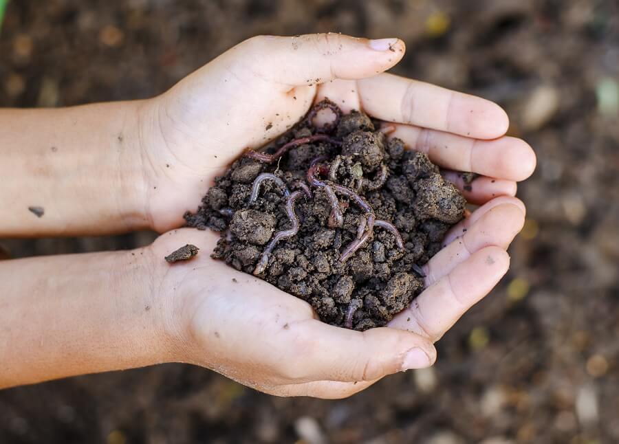 Een wormenhotel is handig voor het maken van compost van groente- en fruitafval - tuinieren met Buitenleven
