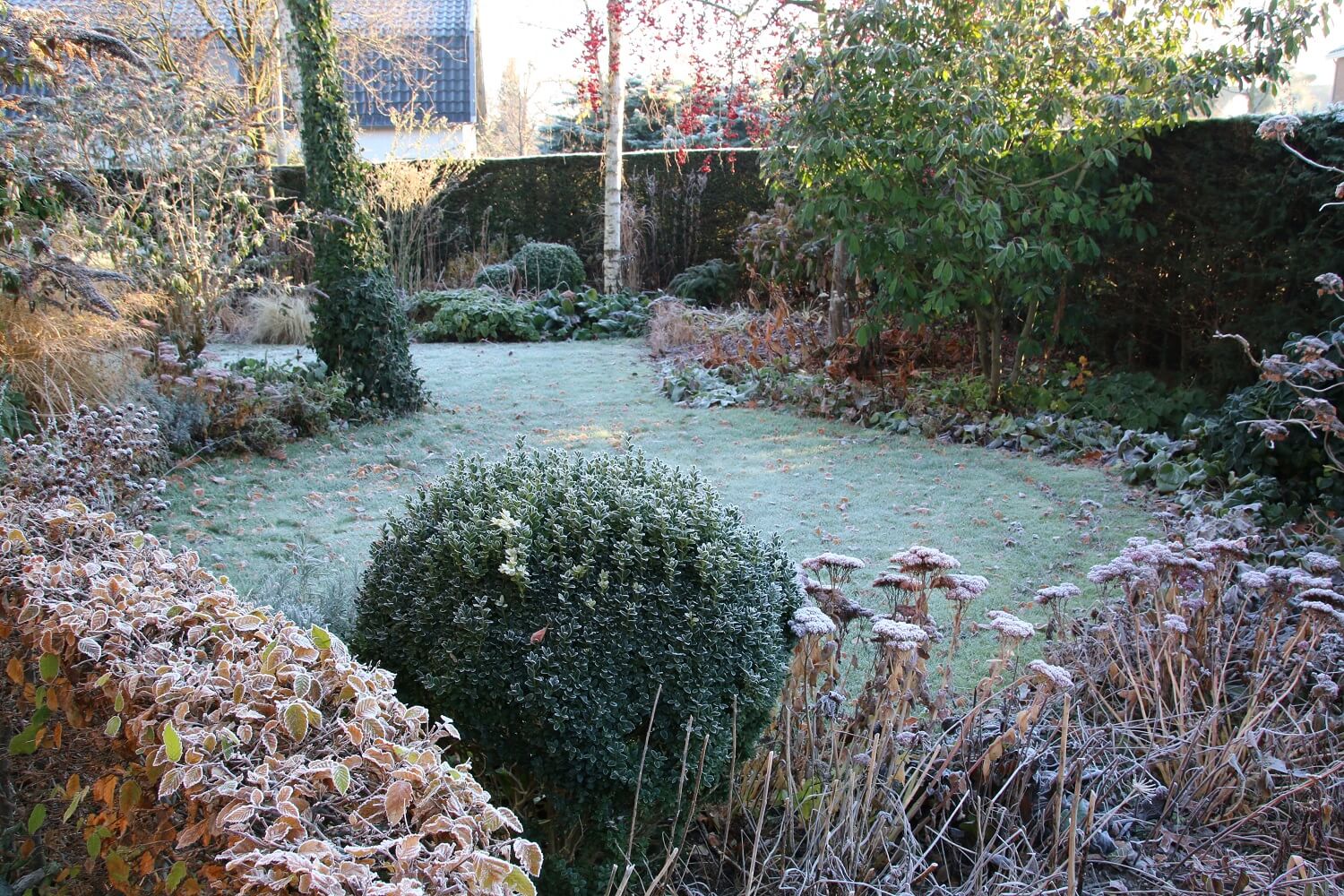 Ook in de winter is er genoeg te zien in het tuinontwerp van Ineke Brunekreeft 